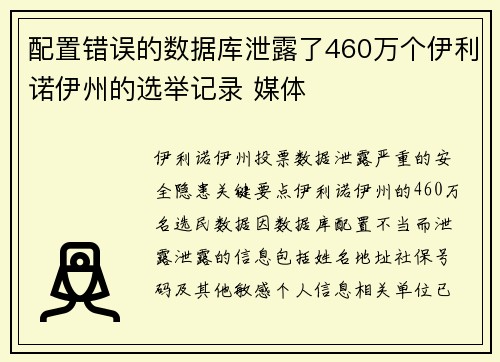 配置错误的数据库泄露了460万个伊利诺伊州的选举记录 媒体
