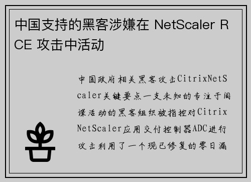 中国支持的黑客涉嫌在 NetScaler RCE 攻击中活动 